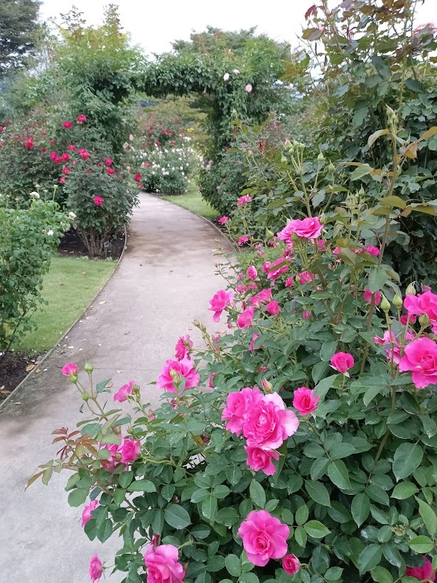 ヲタクと旅をする･････その２_b0331802_21595153.jpg