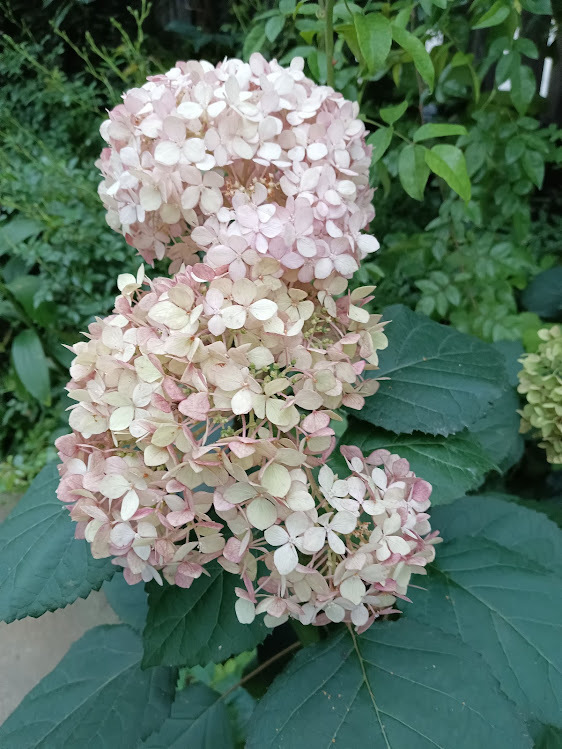 ヲタクと旅をする･････その２_b0331802_21595699.jpg