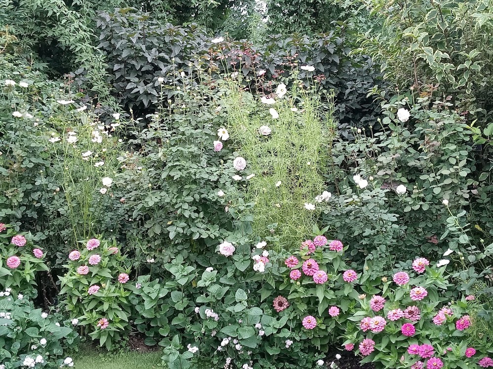 ヲタクと旅をする･････その２_b0331802_22000888.jpg
