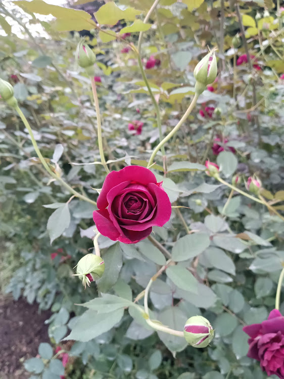 ヲタクと旅をする･････その２_b0331802_22001721.jpg