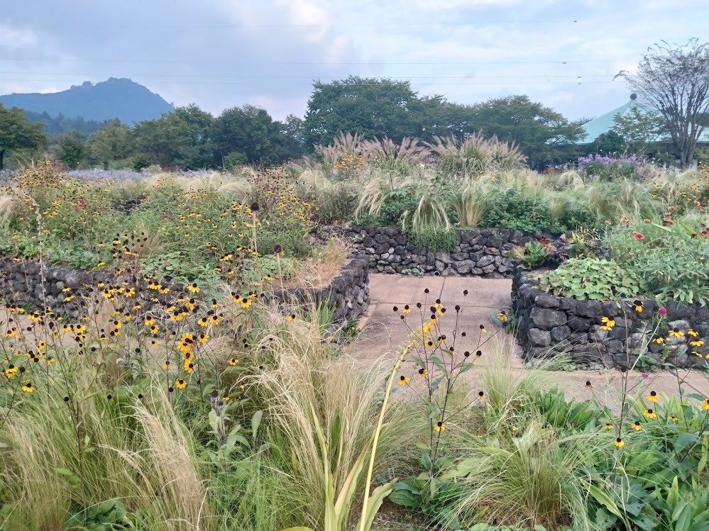 ヲタクと旅をする･････その２_b0331802_22002987.jpg