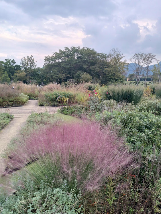 ヲタクと旅をする･････その２_b0331802_22004360.jpg