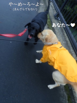 〇〇〇〇ーを初めてスマホに入れた記念日(笑)_c0182012_14282667.jpg