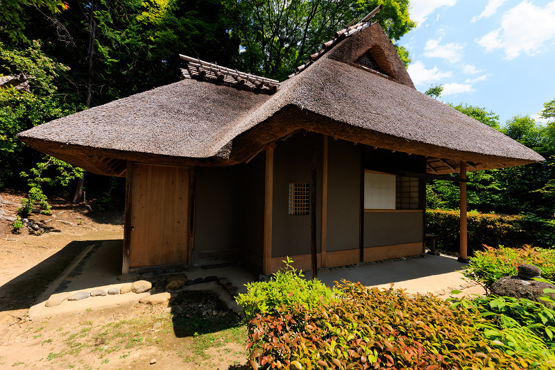 サツキ咲く頃（金福寺）_f0155048_23012590.jpg