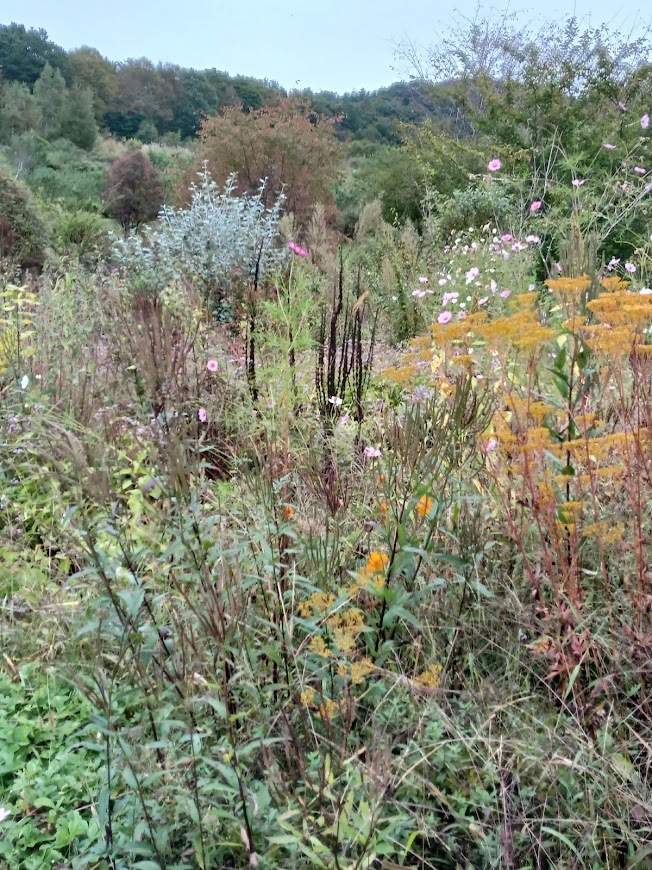 ヲタクと旅をする･････その３_b0331802_23511786.jpg