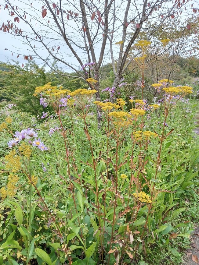 ヲタクと旅をする･････その３_b0331802_23512019.jpg