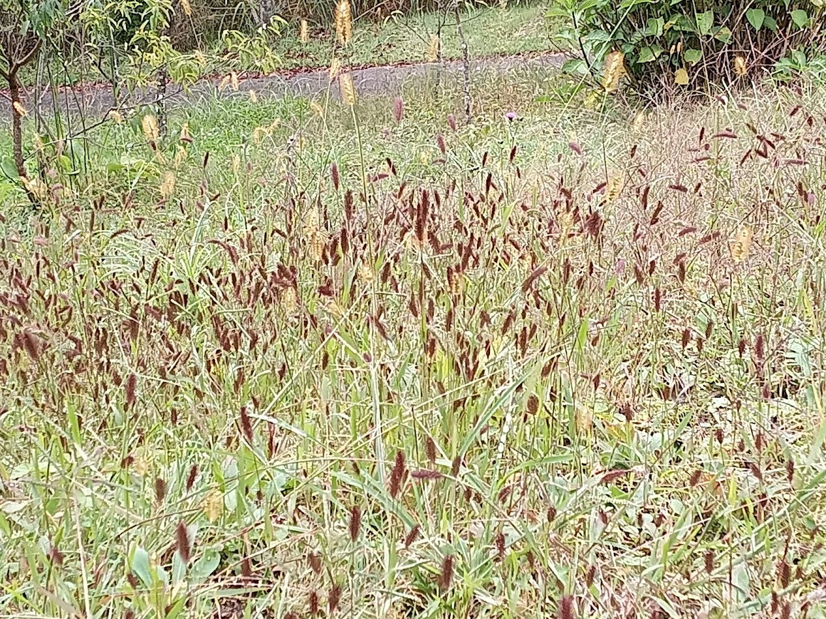 ヲタクと旅をする･････その３_b0331802_23512380.jpg