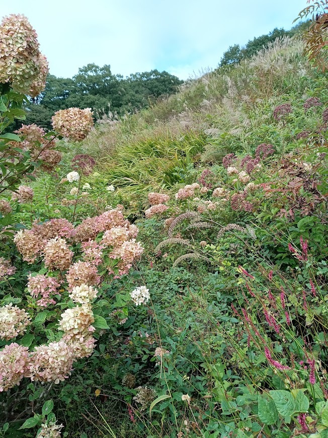 ヲタクと旅をする･････その３_b0331802_23523961.jpg