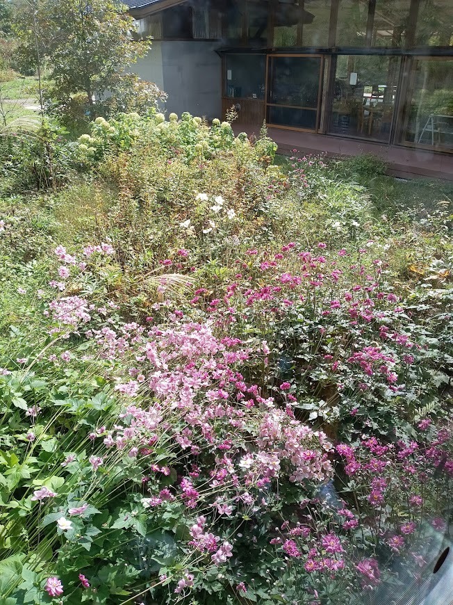 ヲタクと旅をする･････その３_b0331802_23524780.jpg