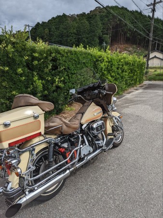 今日は天気も良かった..._a0159215_23550208.jpg