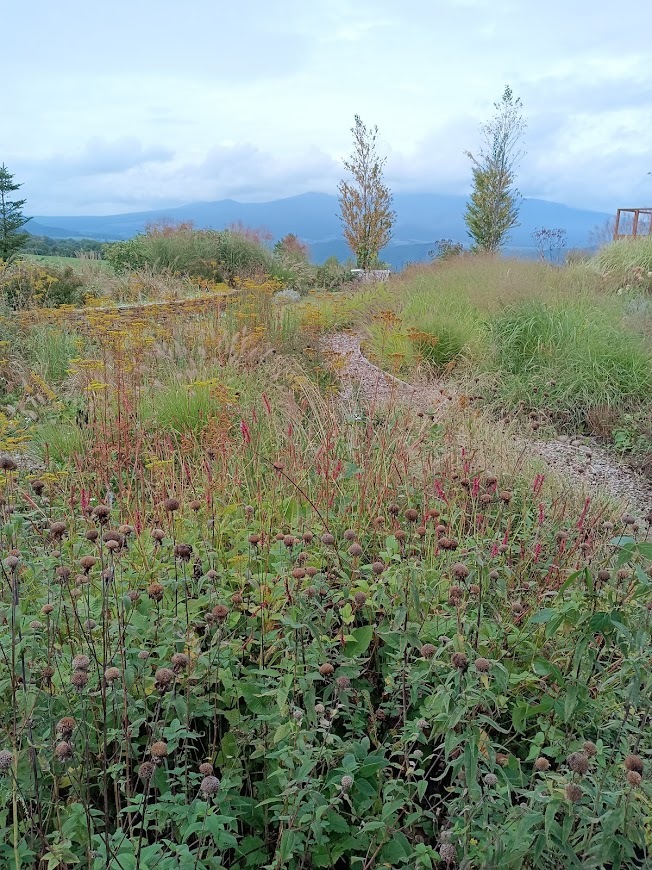 ヲタクと旅をする･････その４_b0331802_21111409.jpg