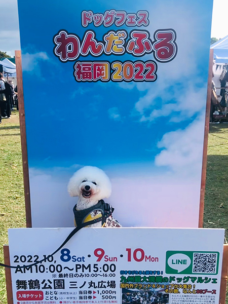 競売情報更新しました_f0126903_23472841.jpg