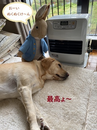 コストコかみのやま倉庫。_c0182012_09433837.jpg