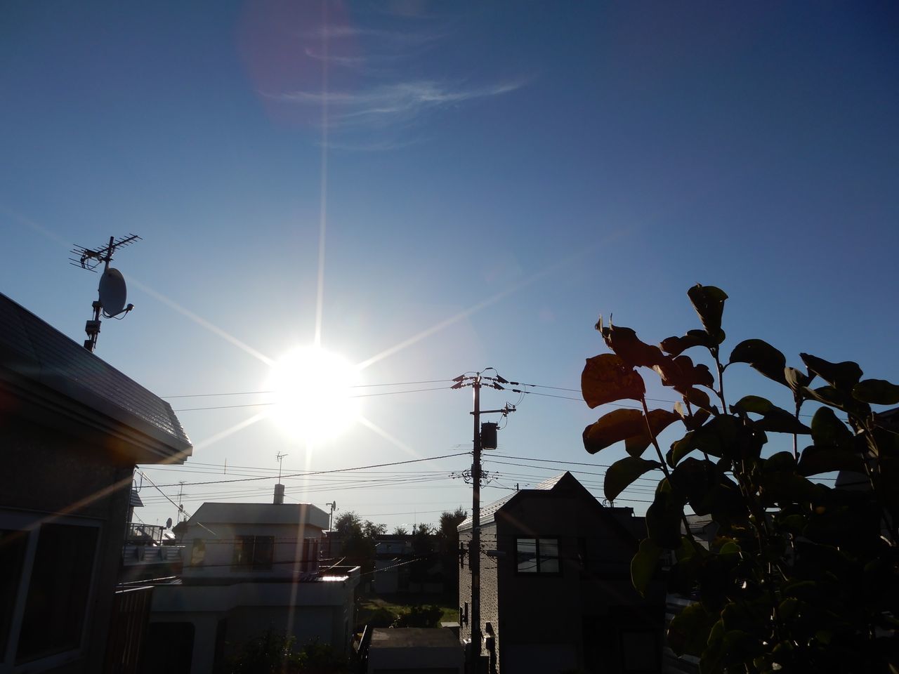 暖かい秋の日曜日_c0025115_22001513.jpg