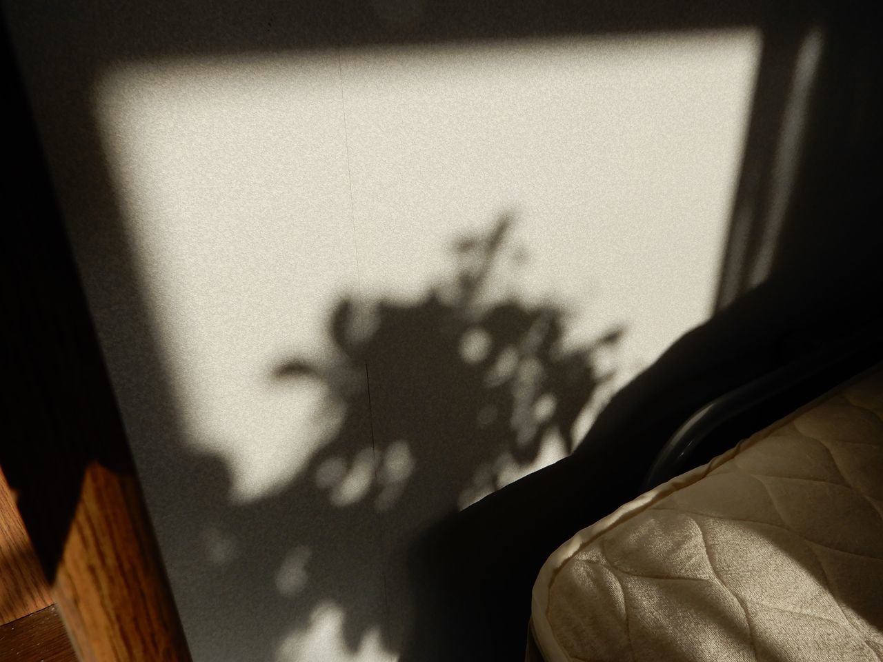 暖かい秋の日曜日_c0025115_22053130.jpg