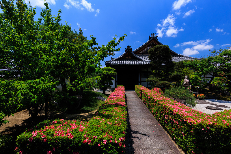 サツキ咲く頃（慈雲院）_f0155048_23294091.jpg