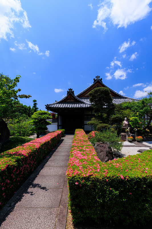 サツキ咲く頃（慈雲院）_f0155048_23300966.jpg