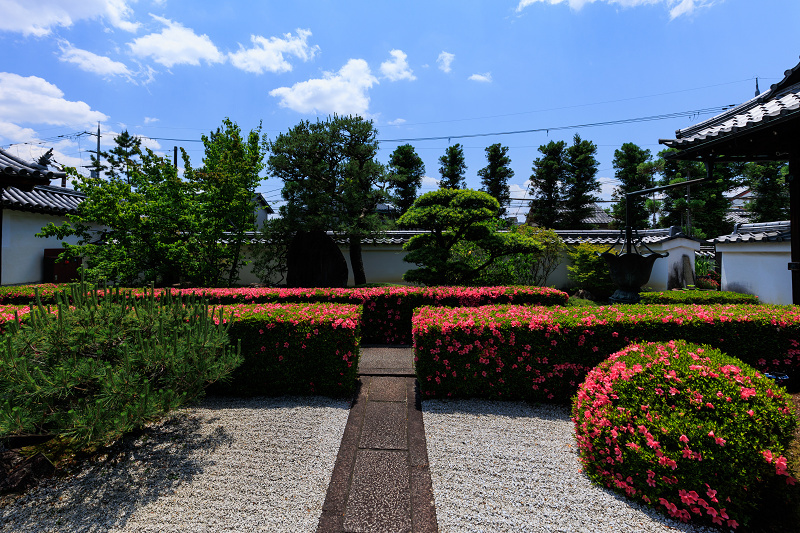 サツキ咲く頃（慈雲院）_f0155048_23302637.jpg