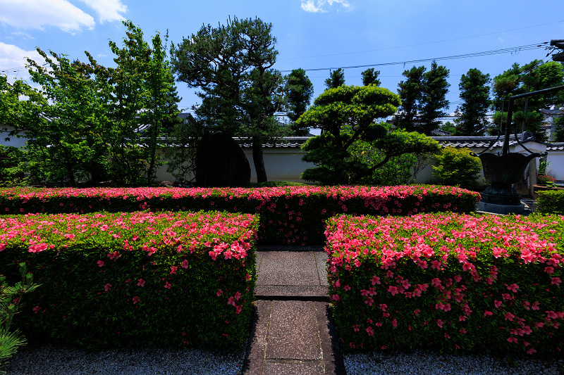 サツキ咲く頃（慈雲院）_f0155048_23305111.jpg