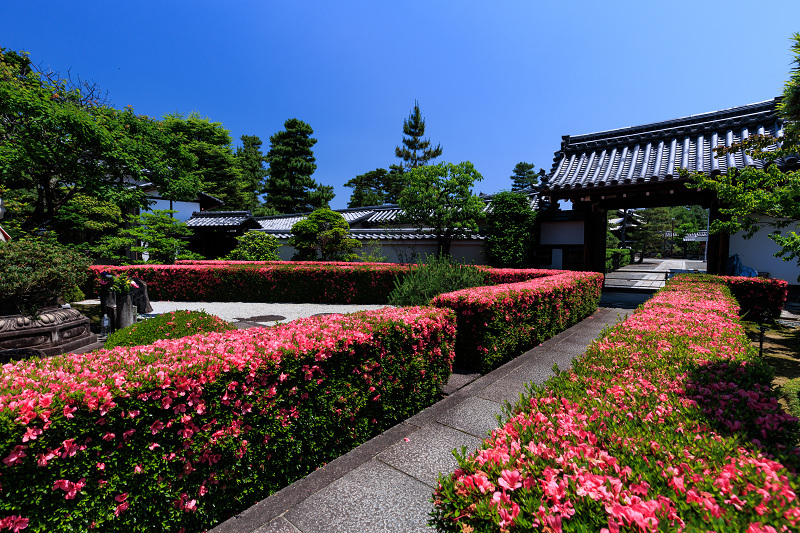 サツキ咲く頃（慈雲院）_f0155048_23311291.jpg