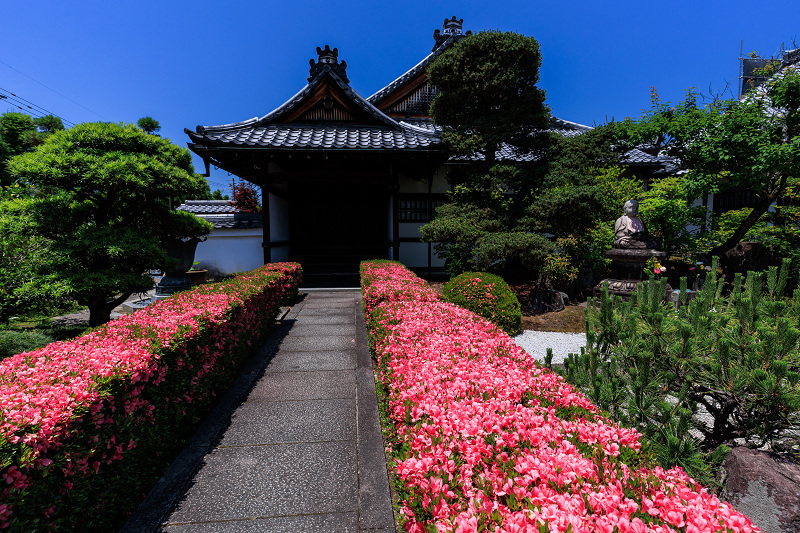 サツキ咲く頃（慈雲院）_f0155048_23314678.jpg