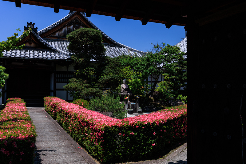 サツキ咲く頃（慈雲院）_f0155048_23320834.jpg