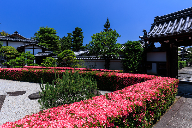 サツキ咲く頃（慈雲院）_f0155048_23322989.jpg