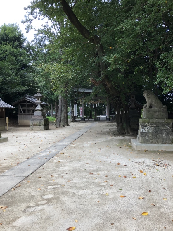 リハビリ散歩_a0129492_15061072.jpeg