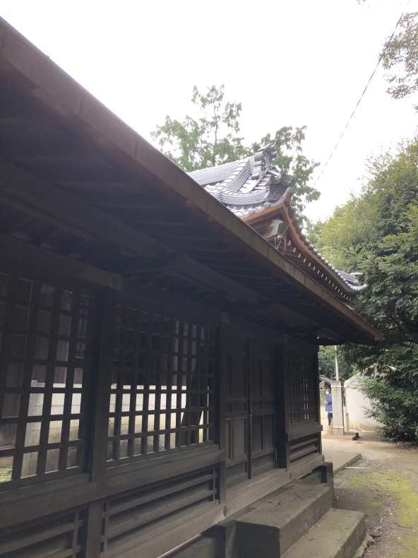 リハビリ散歩_a0129492_15212464.jpeg