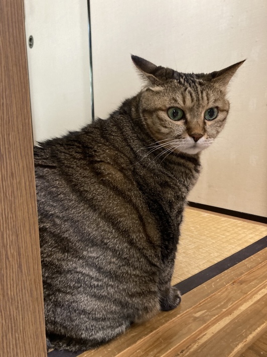 体育の日 じゃない スポーツの日。_b0412708_13360773.jpeg