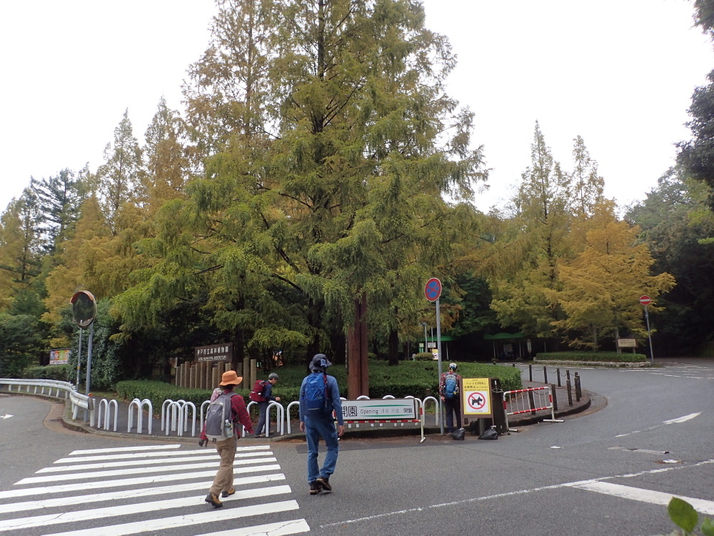 山田道から神戸森林植物園へ_c0218841_20393711.jpg