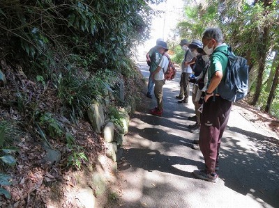 令和4年9月16日(金) 上地区彼岸花ハイキングを実施_d0261119_16244992.jpg