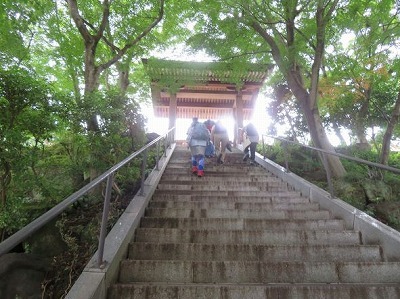 令和4年9月16日(金) 上地区彼岸花ハイキングを実施_d0261119_16304874.jpg