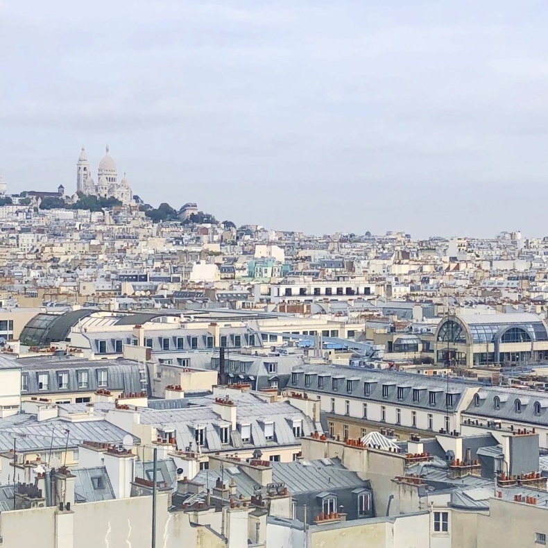 パリの屋根、どの眺めがお好きですか？　ギャラリーラファイエットの屋上から撮影_a0231632_04080248.jpeg