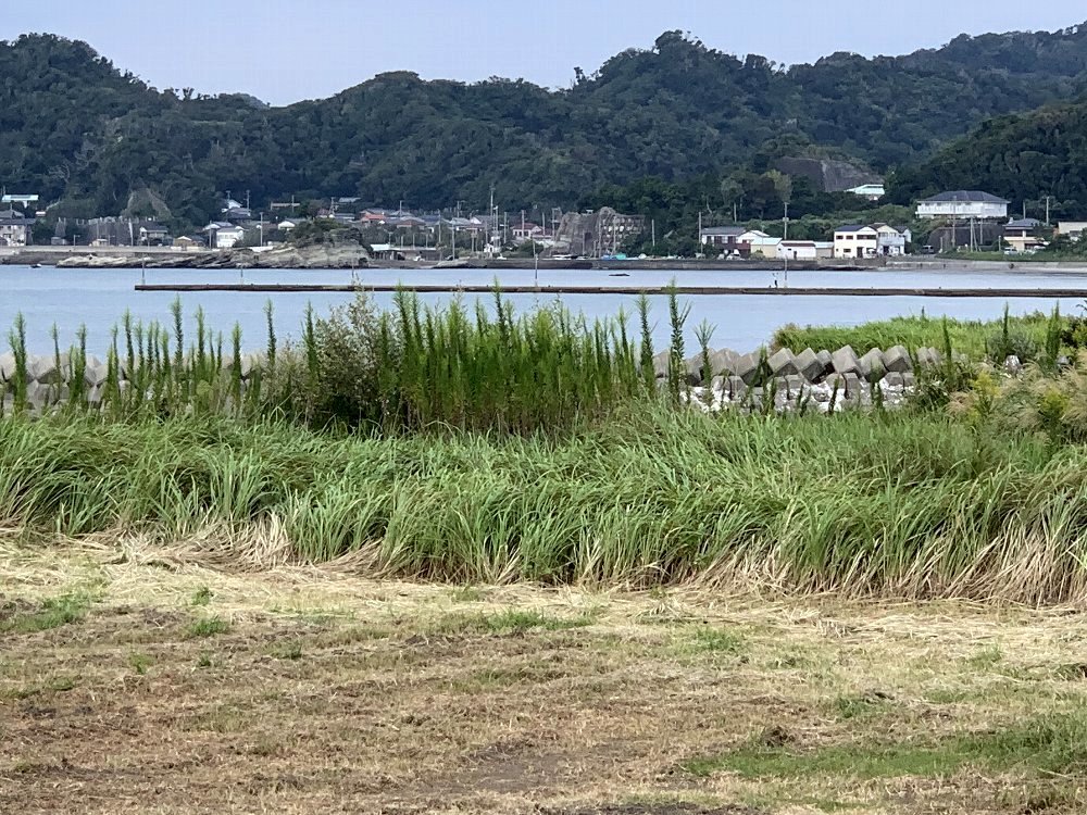☆原岡桟橋・10か月ぶり・ふたたびここへ☆_c0092953_00203466.jpg