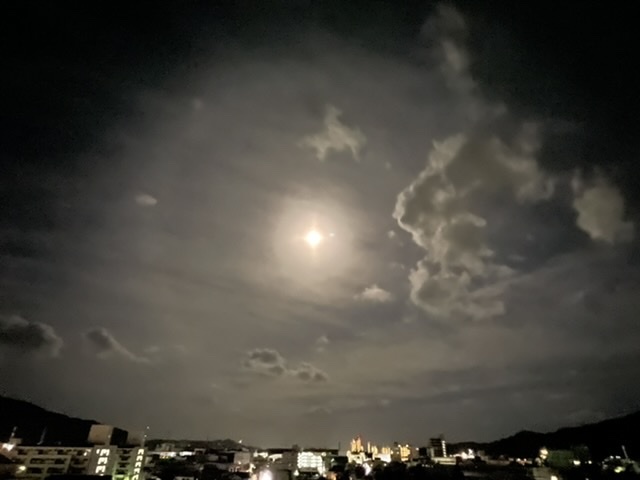 空を仰ぐ_b0305770_08294462.jpeg