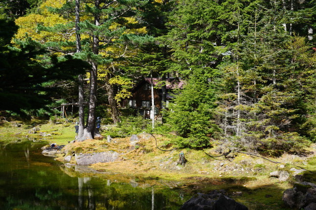 八ヶ岳さんぽ 稲子湯からしらびそ小屋_d0348118_09401902.jpeg