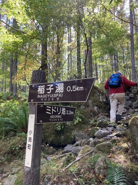八ヶ岳さんぽ 稲子湯からしらびそ小屋_d0348118_09443276.jpeg