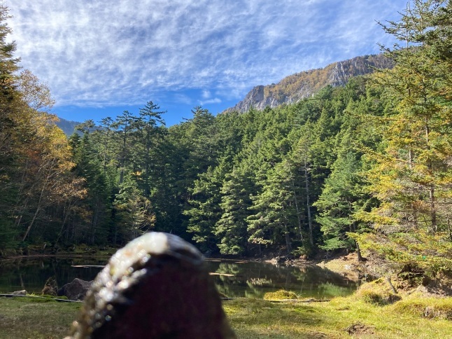 八ヶ岳さんぽ 稲子湯からしらびそ小屋_d0348118_09481895.jpeg