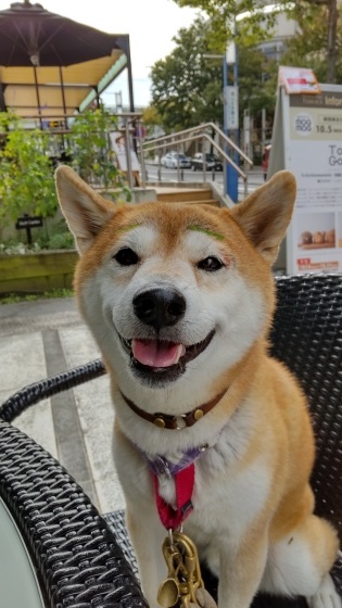 弟と_e0394031_16542212.jpg