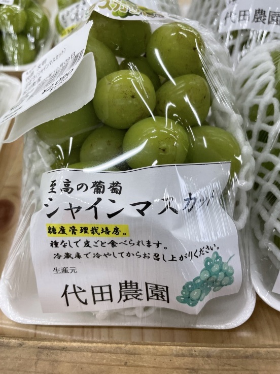 陸斗の逃亡劇_f0076731_19021446.jpeg