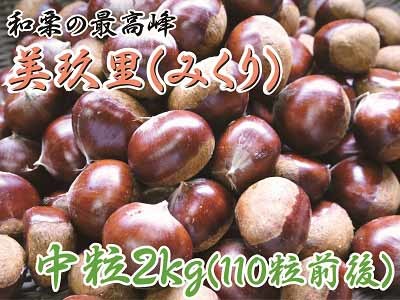 令和4年度の熊本県産！栗名人の『美玖里（みくり）』数量限定で再入荷決定！売り切れ御免の早い者勝ち！_a0254656_18350280.jpg