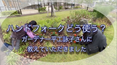 やっと、気持ち良い季節_b0137969_08542087.jpeg