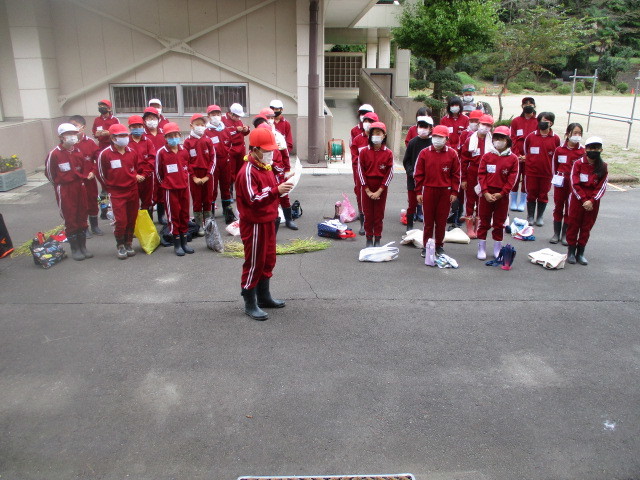 稲刈り体験について(北郷小学校)_d0247484_16072438.jpg