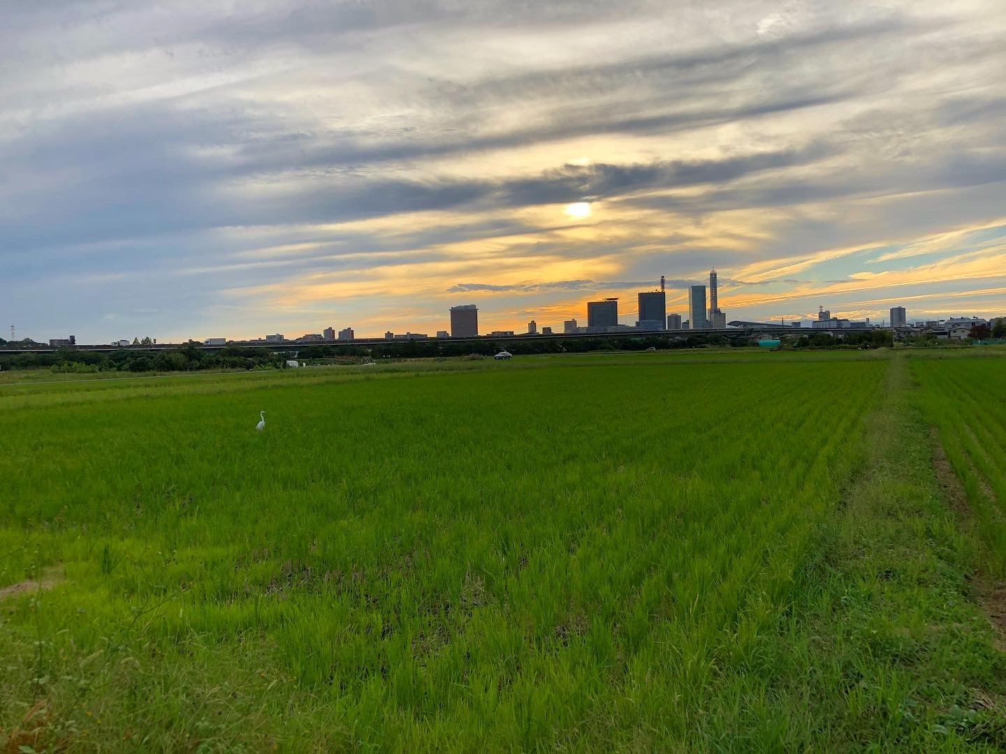 夕暮れ時_a0129492_14255455.jpeg