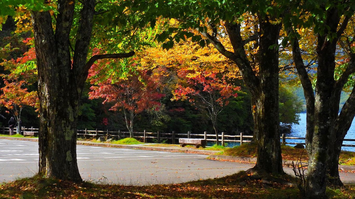 ぶらり奥日光（１）・・・紅葉探索「歌が浜」_a0031821_15441123.jpg