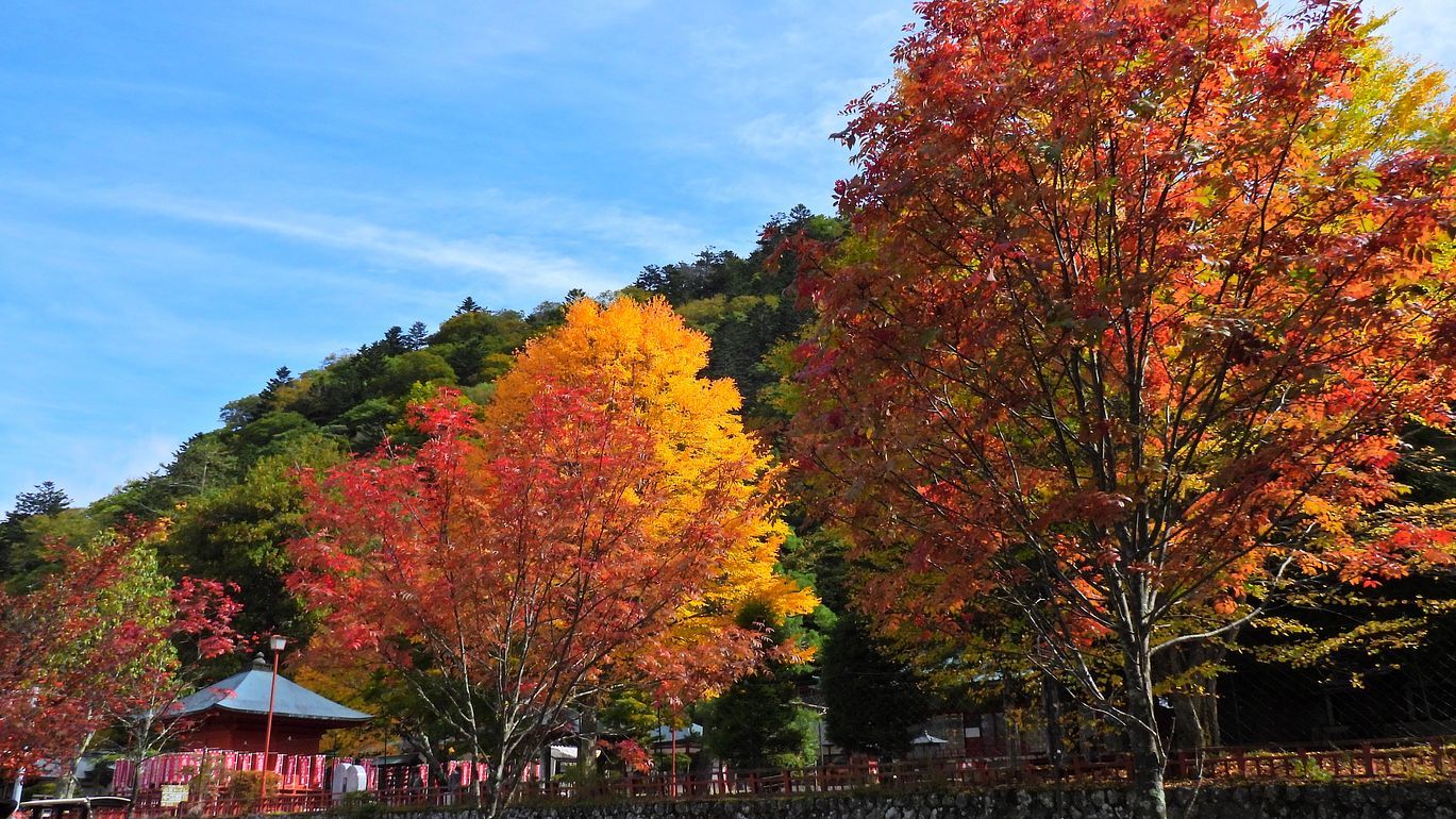 ぶらり奥日光（１）・・・紅葉探索「歌が浜」_a0031821_15441170.jpg