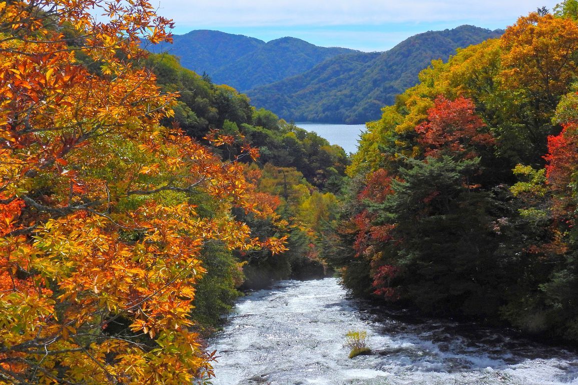 ぶらり奥日光（１）・・・紅葉探索「歌が浜」_a0031821_15441236.jpg