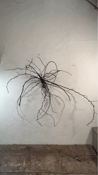 距離_c0102228_19315780.gif