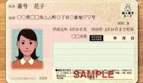 マイナンバーカードの運転免許証化_b0237229_17354669.jpg